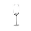 Bubble Champagne Flute | Clear/Grey