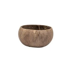 Coconut Bowl | Matte Natural
