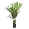 Interior Decor Plant | Kentya Luxus 225cm