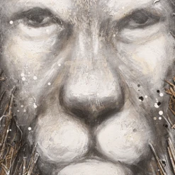 Lion Wall Art | 122.5x122.5cm -Home Sale Shop zoco home lion wall art 122 5x122 5cm 52672076906839